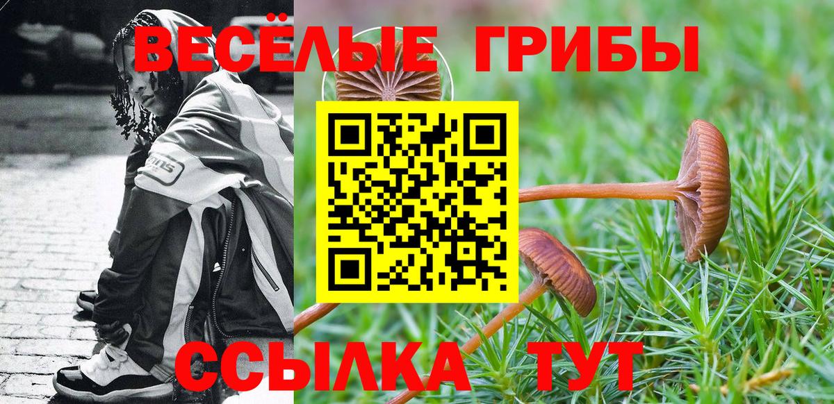 где продают наркотики  Галлюциногенные грибы Cubensis  Галлюциногенные грибы Psilocybe  Вход с VPN  Кубинка 